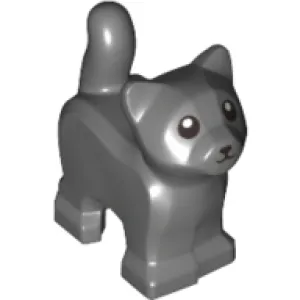 Cat, Baby Kitten, Standing with Black Mouth, Nose, and Eyes with Pupils Pattern