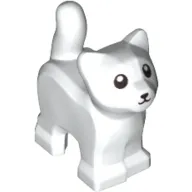 Cat, Baby Kitten, Standing with Black Mouth, Nose, and Eyes with Pupils Pattern