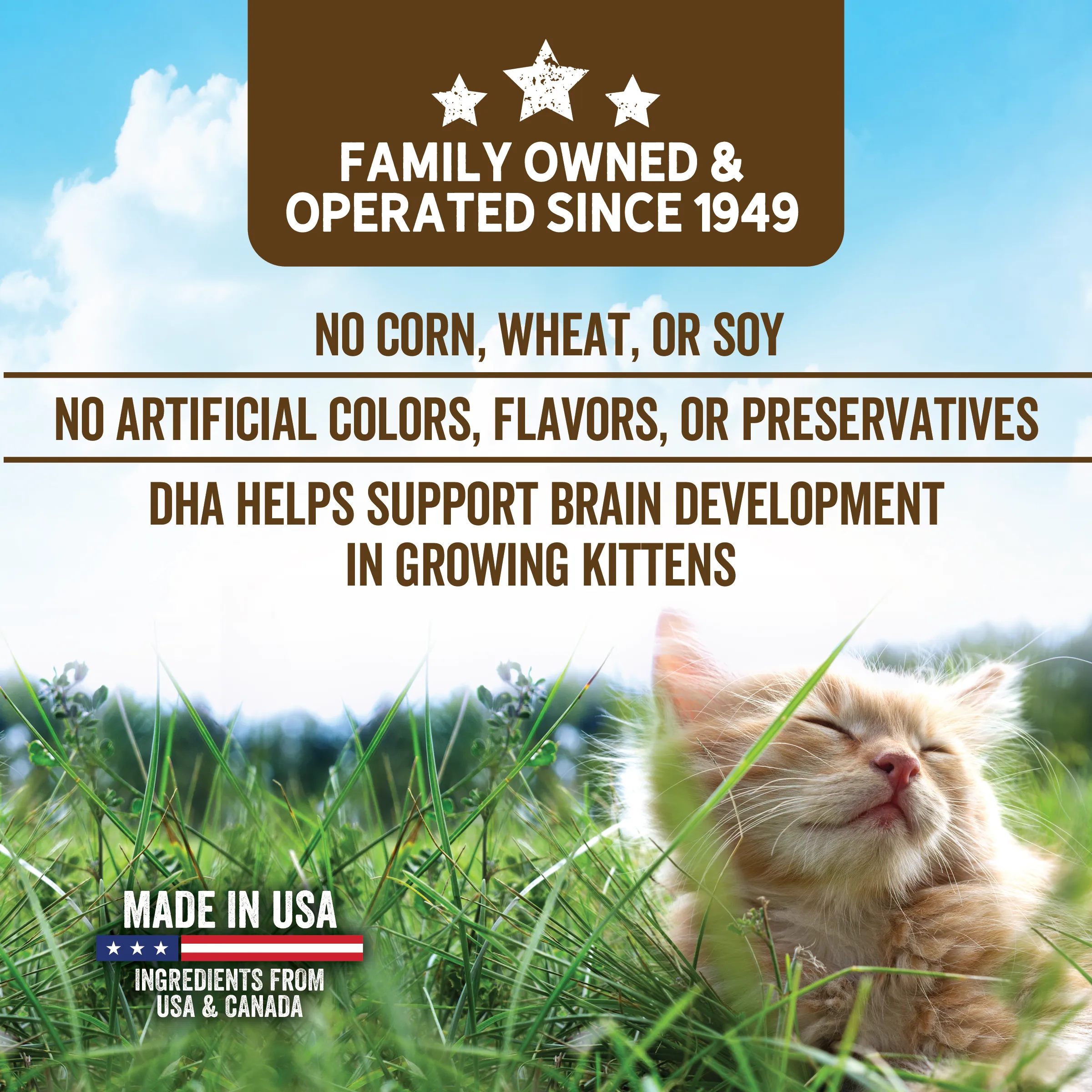 Grain Free Kitten Food | 2.75 LB | Evolve