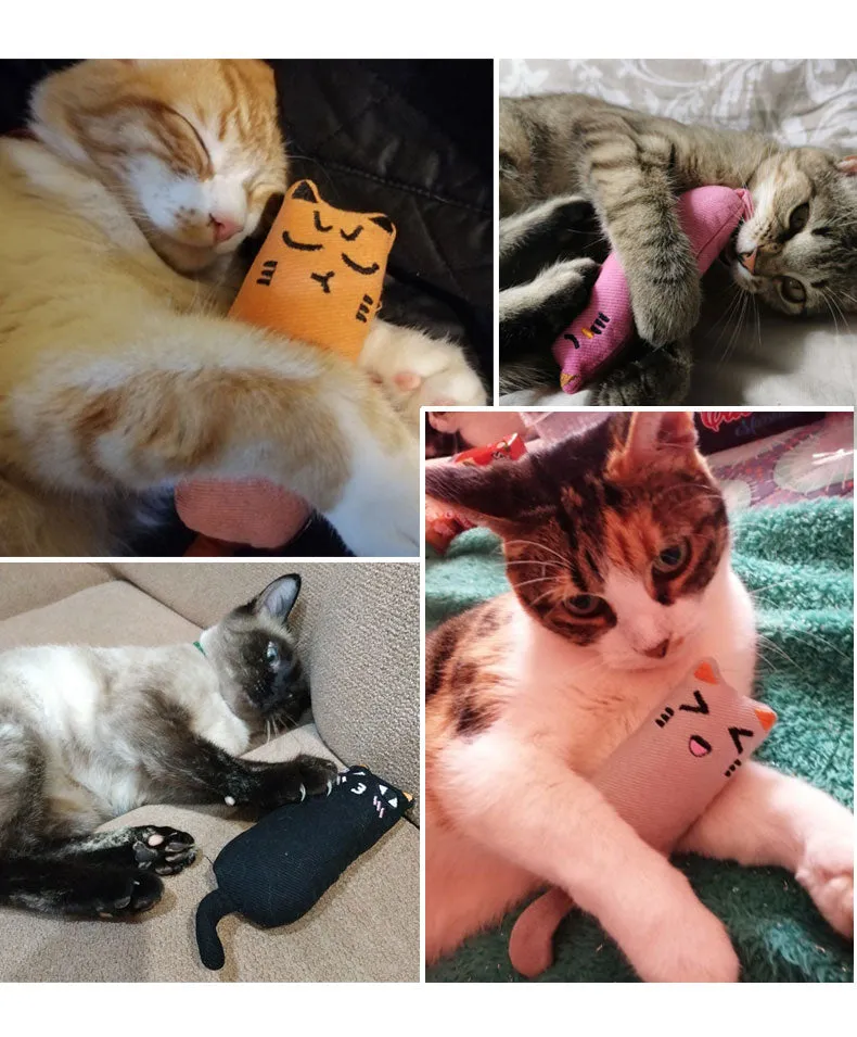 Kitten Cuddle Buddy for Cats