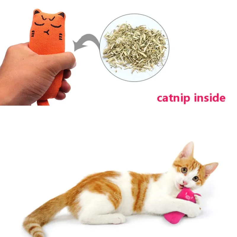 Kitten Cuddle Buddy for Cats