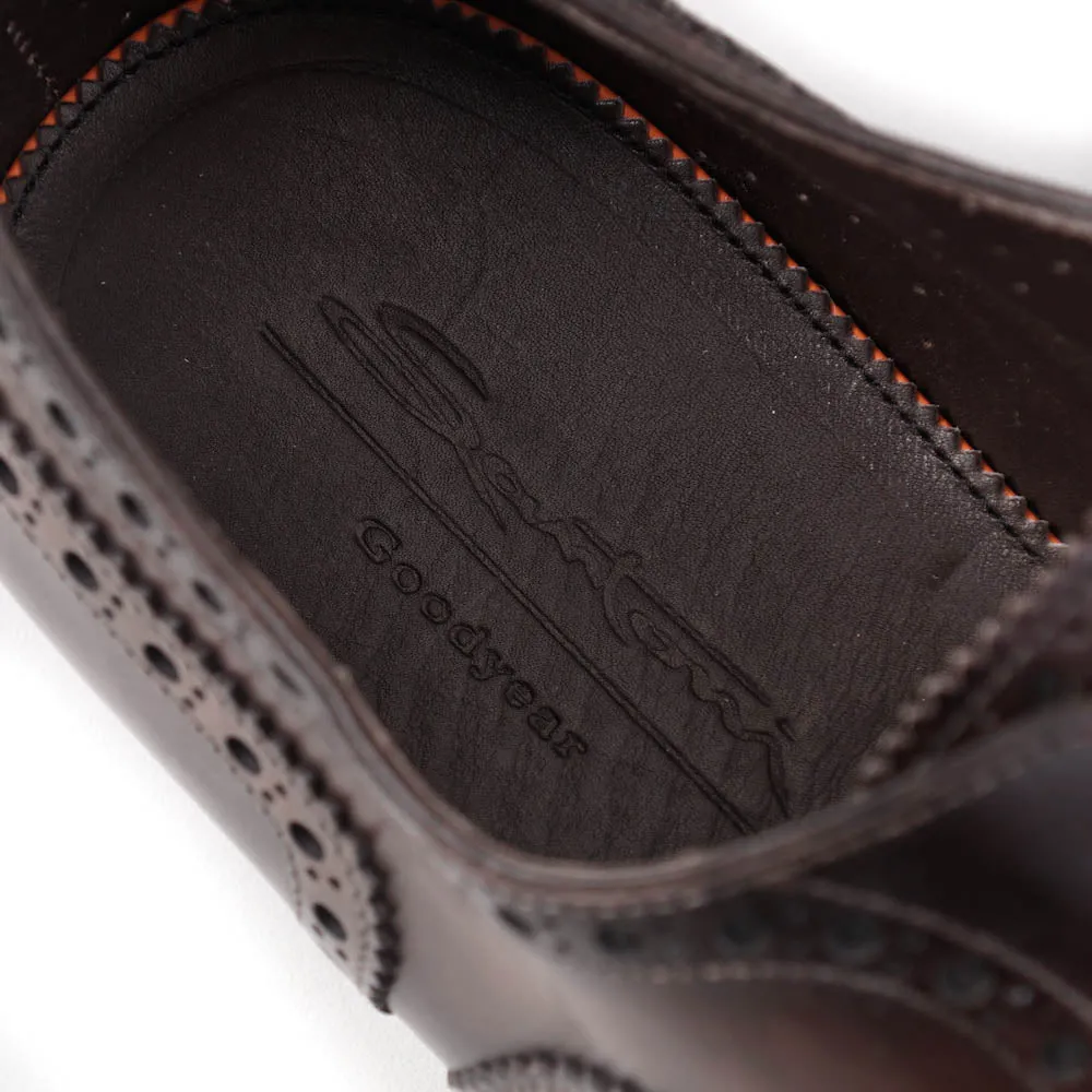 Santoni Wingtip Brogue in Antiqued Brown